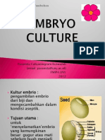 Kultur Embrio