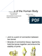 Joints of The Human Body