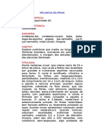 Melancia-da-Praia - Solanum Capsicoides All. - Ervas Medicinais - Ficha Completa Ilustrada