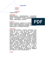 Mussambê - Cleome spinosa L. - Ervas Medicinais – Ficha Completa Ilustrada