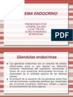 Sistema Endocrino