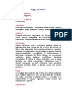 Poejo-da-Horta - Mentha pulegium L. - Ervas Medicinais – Ficha Completa Ilustrada