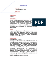 Raiz-forte - Armoracia rusticana G.M. Sch. - Ervas Medicinais – Ficha Completa Ilustrada