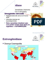 Estrongiloidíase e Tricuríase