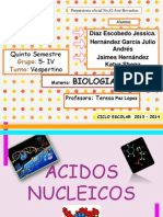 Acidos nucleicos