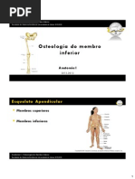 Aula T05 - Osteologia Do Membro Inferior
