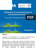 Presentación Bioenergía y Fuentes Alternativas 2013