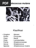Download Streptococcus Mutans by Jennifer Abella Brown SN189009953 doc pdf