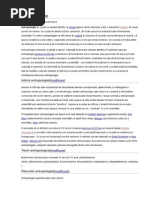 Evoluţii Culturale În Sec XX | PDF