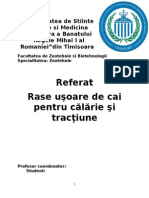 Rase Uşoare de Cai Pentru Călărie Şi Tracţiune - Bad Florin 2003