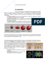 (06b) - (A) Citologia - Acquaporine Struttura e Funzione Mitocondri 11-03-13