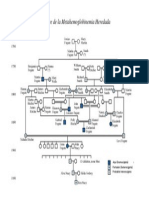 Pedigree de La Metahemoglobinemia Heredada