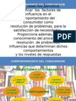 Comportamiento Del Consumidor