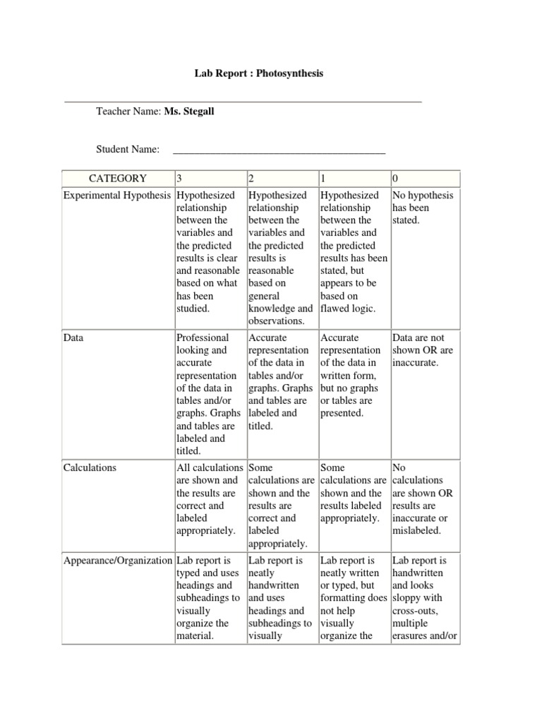 Rubric | PDF | Career & Growth