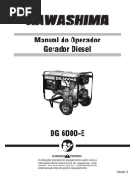 Manual Gerador Diesel DG 6000-E_V3