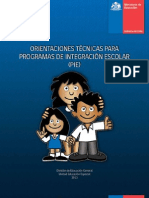 201310081640100.orientacionesPIE2013