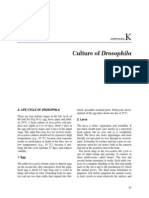 Lab Appendix 3K Drosophila