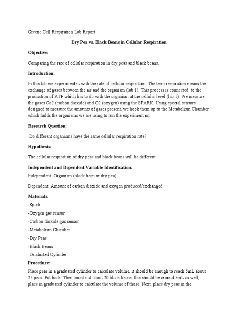Photosynthesis and cellular respiration lab report picture