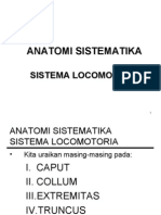 Bab v Anatomi Sistematika