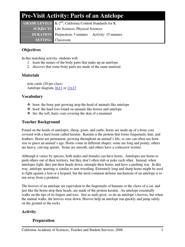 Antelope Body Parts Matching Activity | PDF | Antelope | Nail (Anatomy)