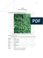 Download kacang panjang by yokon_ono SN189167574 doc pdf
