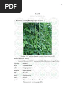 Download kacang panjang by yokon_ono SN189167574 doc pdf