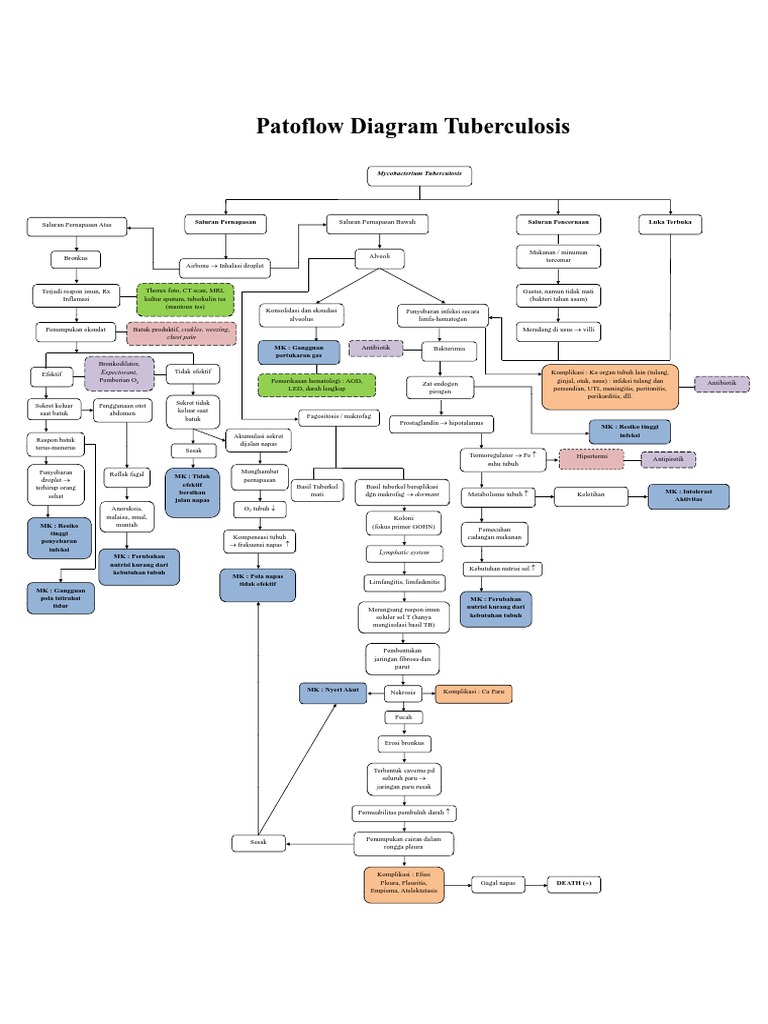 Patoflow TB | PDF | Ilmu Sosial | Kesehatan Holistik