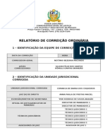 Relatório de Correição com Formulários 30 01 2012