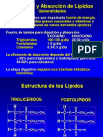 Abs Orc i on Digestion Lipid i CA