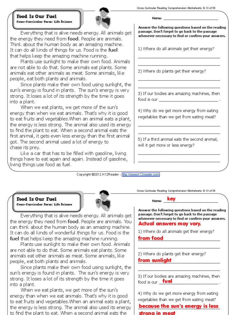 CrossCurricular Focus Life Science Name PDF Foods Meat
