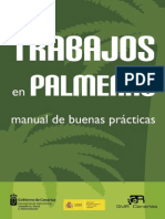 Trabajos Palmeras Buenas Practicas