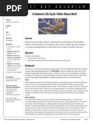 Seahorse Life Cycles