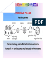 Fiziologija Semena I Plodova