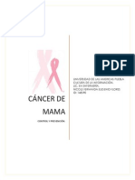 Cáncer de Mama Trabajo de Investigación 148390