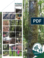Hacia un Nuevo Modelo Forestal AIFBN - AIFBN.pdf