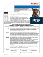 Dog.pdf