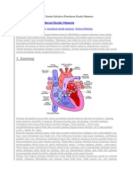 Sistem Sirkulasi Peredaran darah.docx