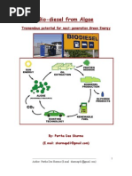 Download Biodiesel From Algae by partha das sharma SN18929342 doc pdf