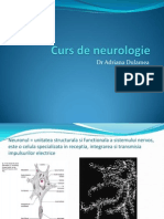 Curs Neurologie 1