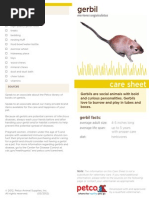 Gerbil