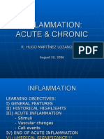 Inflammation: Acute & Chronic