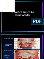 Imagistica Sistemului Cardiovascular