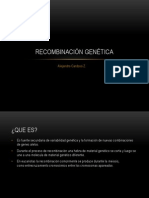 Recombinación Genética