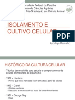 Isolamento em Cultivo Celular - Diagnóstico Virológico