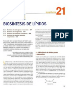 Biosintesis de Lipidos1