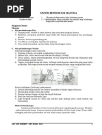 Download Sistem Reproduksi Manusiadoc by roni_rbg SN18940970 doc pdf
