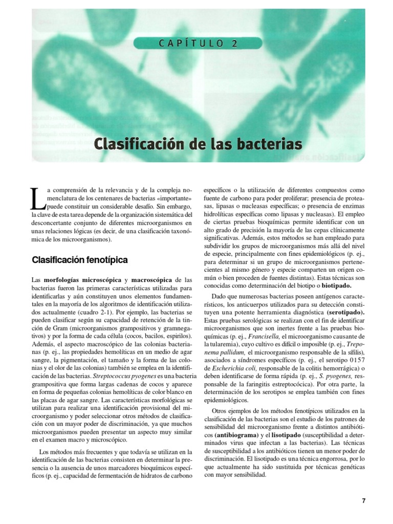 Clasificación fenotípica y genotípica de bacterias | PDF | Las ...