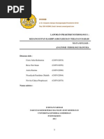 Download Laporan Praktikum Fisiologi 1 Kesanggupan Kardivaskuler Dan Tekanan Darah by franky SN189450564 doc pdf