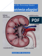 Az Anatómia Alapjai