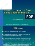 Characterization of Citrus Value Chain in Punjab, Pakistan